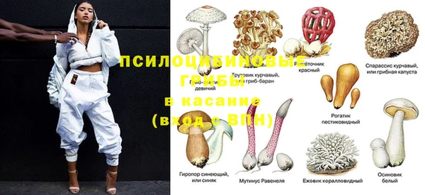 ПСИЛОЦИБИНОВЫЕ ГРИБЫ Беломорск