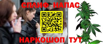 дмт Бийск