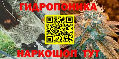 гидра Берёзовский