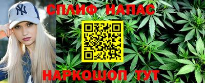 гидра Берёзовский