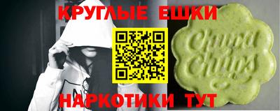 дмт Бийск
