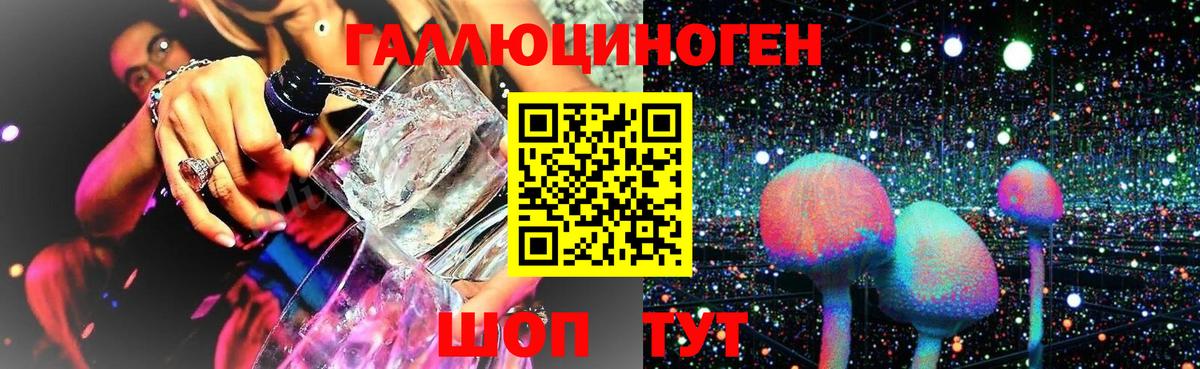 Псилоцибиновые грибы прущие грибы Богородск