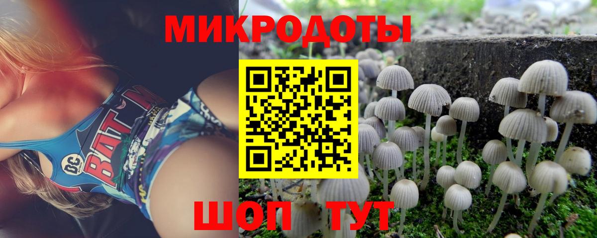 Псилоцибиновые грибы прущие грибы  Богородск  Псилоцибиновые грибы Magic Shrooms 